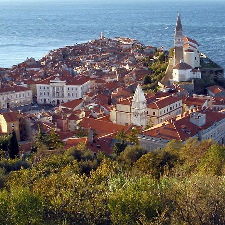 Dragonja Sea View Istrian Countryside Apartment - Rota מראה חיצוני תמונה