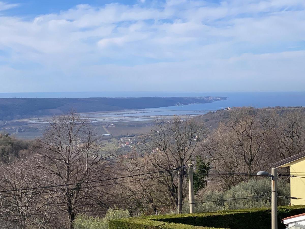 Dragonja Sea View Istrian Countryside Apartment - Rota מראה חיצוני תמונה