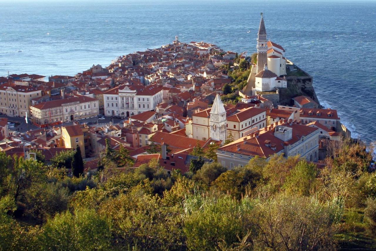 Dragonja Sea View Istrian Countryside Apartment - Rota מראה חיצוני תמונה