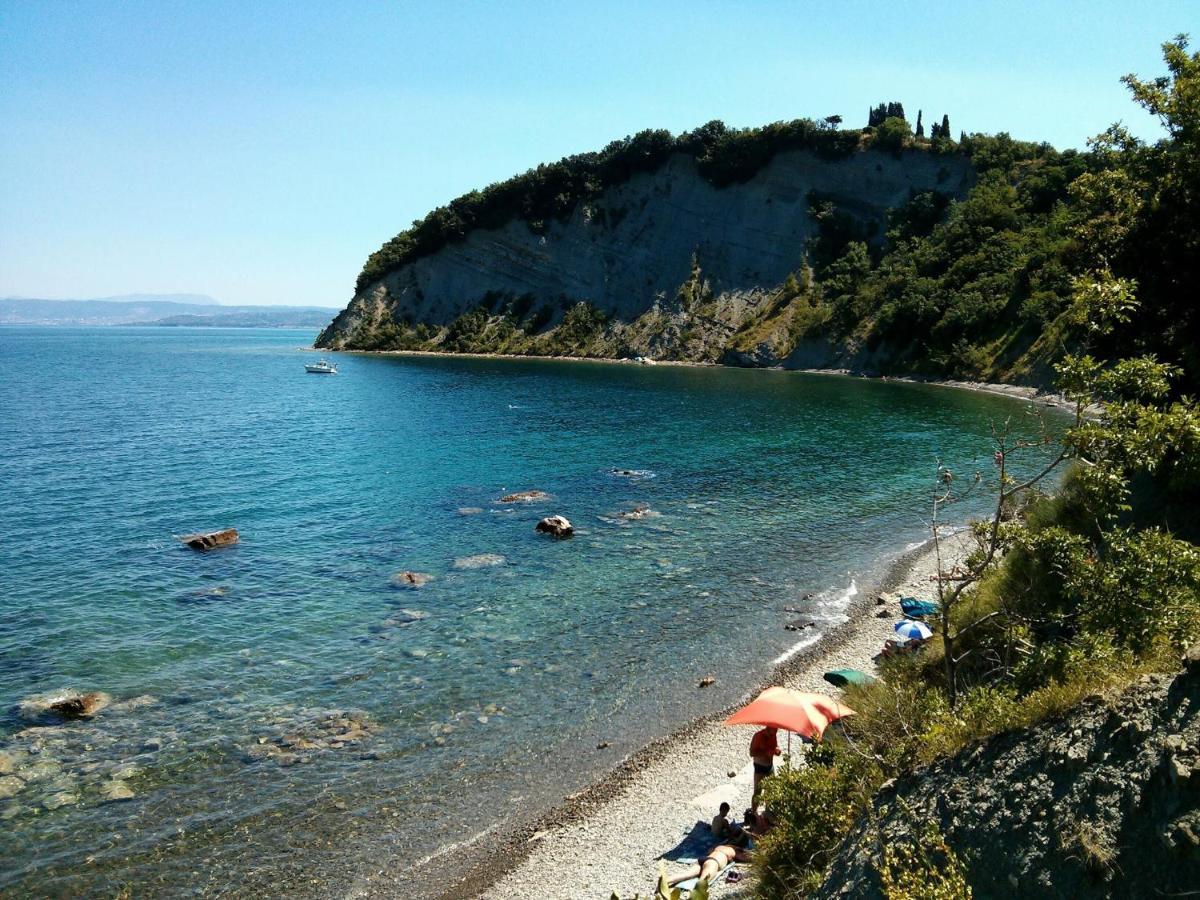 Dragonja Sea View Istrian Countryside Apartment - Rota מראה חיצוני תמונה